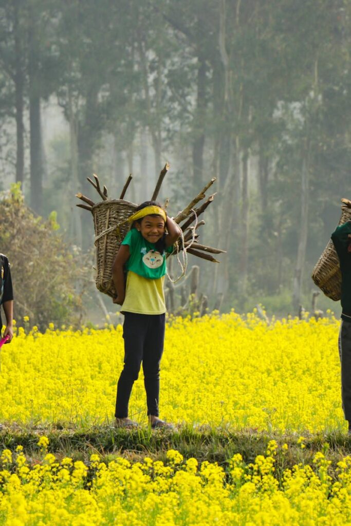 Three children carrying firewood in a vibrant yellow mustard field in rural Nepal.